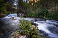 _MG_9298.jpg _MG_9298.jpg