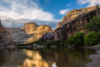 _MG_9229.jpg _MG_9229.jpg