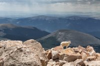 800.IMG_2510.jpg 800.IMG_2510.jpg