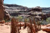 DSC_0103.JPG DSC_0103.JPG