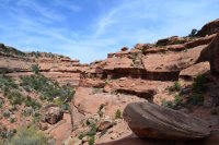 DSC_0140.JPG DSC_0140.JPG