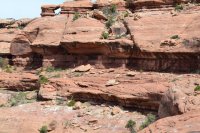 DSC_0144.JPG DSC_0144.JPG