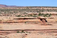 DSC_0248.JPG DSC_0248.JPG