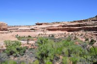 DSC_0273.JPG DSC_0273.JPG