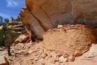 DSC_0304.JPG DSC_0304.JPG