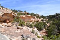 DSC_0314.JPG DSC_0314.JPG