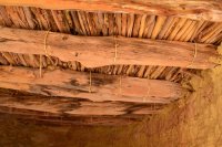 DSC_0315.JPG DSC_0315.JPG