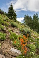 Twin Lakes 7-8-170417 (1).jpg