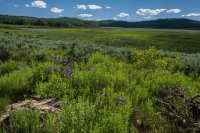 Parents 50th 20170277.jpg