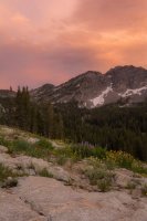 Albion Basin 7-16-170296.jpg