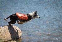 publishSmWr-1 copy 22.jpg