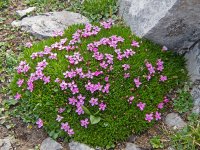 SparrowhawkTarns003.jpg SparrowhawkTarns003.jpg