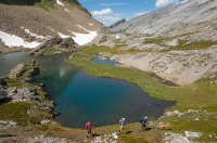 SparrowhawkTarns013.jpg SparrowhawkTarns013.jpg