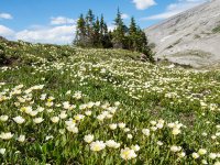 SparrowhawkTarns016.jpg SparrowhawkTarns016.jpg