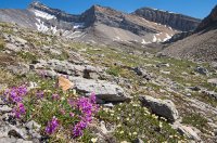 SparrowhawkTarns017.jpg SparrowhawkTarns017.jpg