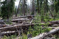 800.IMG_2665.jpg 800.IMG_2665.jpg