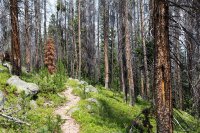 800.IMG_2651.jpg 800.IMG_2651.jpg