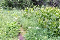 800.IMG_2660.jpg 800.IMG_2660.jpg