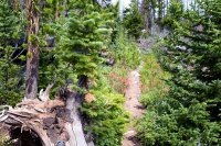 800.IMG_3079.jpg 800.IMG_3079.jpg