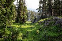 800.IMG_3017.jpg 800.IMG_3017.jpg