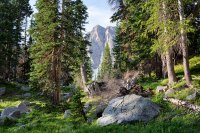 800.IMG_3006.jpg 800.IMG_3006.jpg