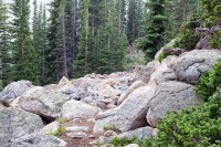 800.IMG_2695.jpg 800.IMG_2695.jpg