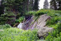 800.IMG_2697.jpg 800.IMG_2697.jpg