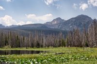 800.IMG_2643.jpg 800.IMG_2643.jpg