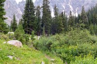 800.IMG_2734.jpg 800.IMG_2734.jpg