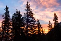 800.IMG_2875.jpg 800.IMG_2875.jpg