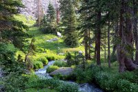 800.IMG_2926.jpg 800.IMG_2926.jpg