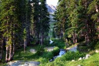 800.IMG_2938.jpg 800.IMG_2938.jpg