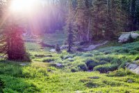 800.IMG_2927.jpg 800.IMG_2927.jpg