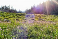 800.IMG_2944.jpg 800.IMG_2944.jpg