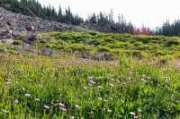 800.IMG_2945.jpg 800.IMG_2945.jpg