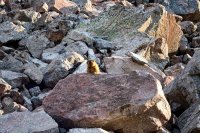 800.IMG_2958.jpg 800.IMG_2958.jpg