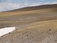 Absaroka Austin Grizzlies Sep 2008.jpg