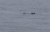 _73A3537.jpg _73A3537.jpg