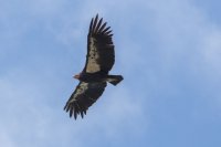 _73A3629.jpg _73A3629.jpg