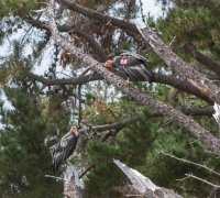 _73A3633.jpg _73A3633.jpg