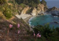 _73A3733.jpg _73A3733.jpg