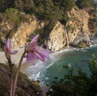 _73A3725.jpg _73A3725.jpg