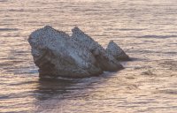 _73A3755.jpg _73A3755.jpg