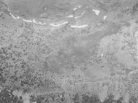 Fullscreen capture 8232017 101755 PM.jpg