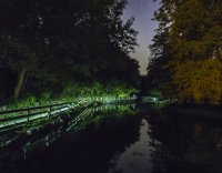 P8251455.jpg P8251455.jpg