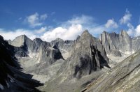 499686.jpg 499686.jpg