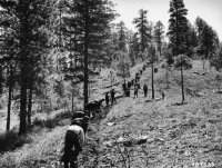 CCC_enrollees_being_trained_in_fire_line_construction_near_Idaho_City,_Idaho_(3226032351).jpg