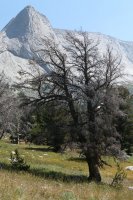 P1010031_tn.jpg P1010031_tn.jpg