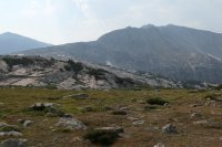 P1010103_tn.jpg P1010103_tn.jpg