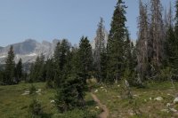 P1010205_tn.jpg P1010205_tn.jpg